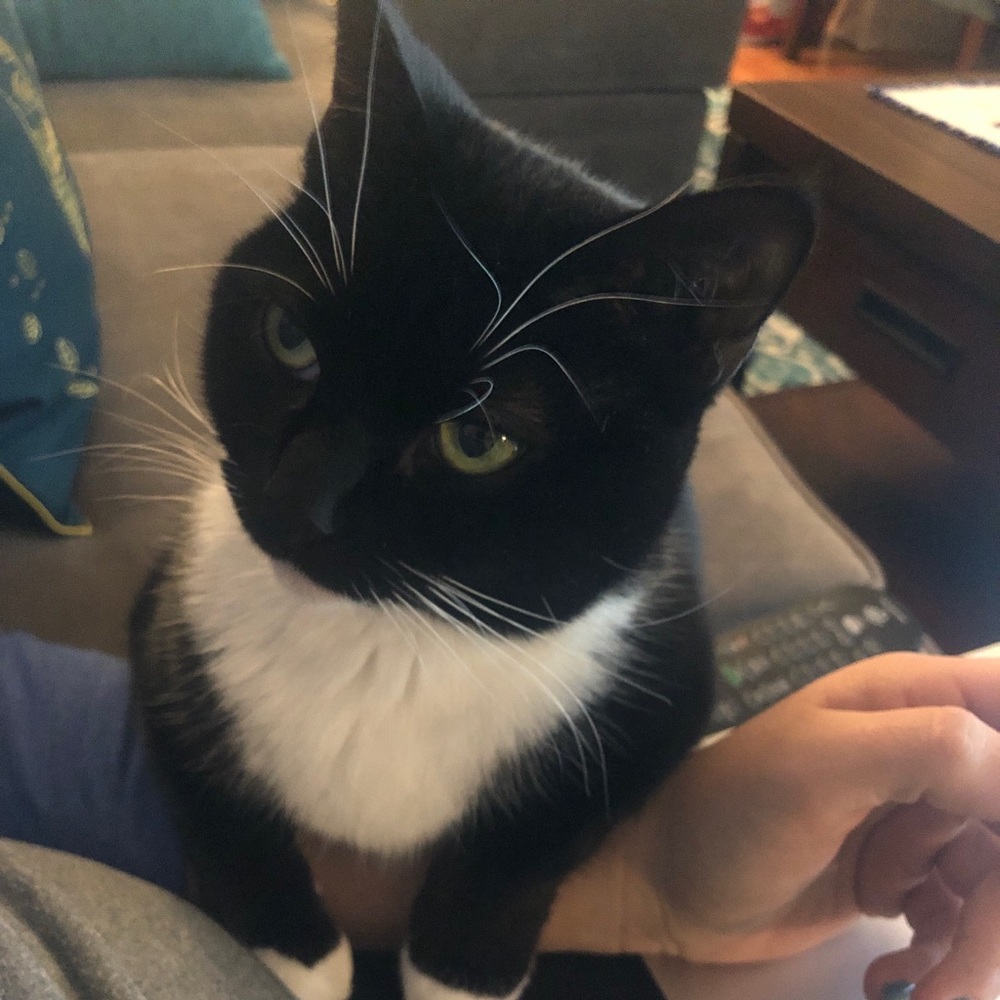 Meet your Posher, Lianna